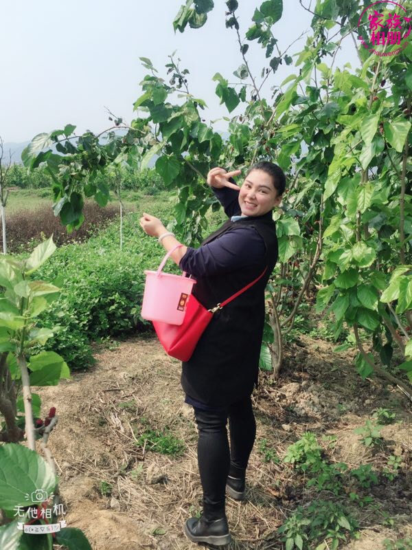 蓝婷婷2018年3月，摘桑葚-第3页