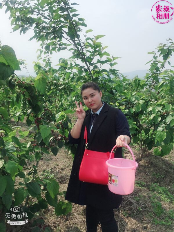 蓝婷婷2018年3月，摘桑葚-第6页