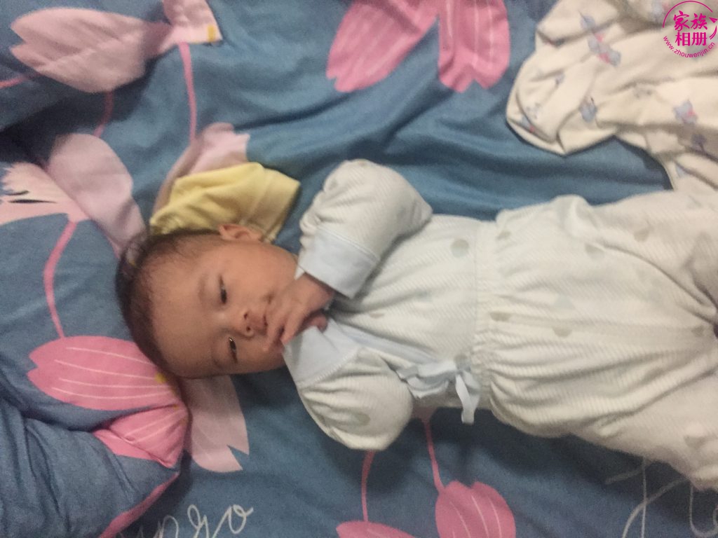 周圣飞2019年4月-第2页