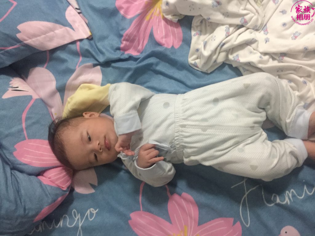 周圣飞2019年4月-第4页