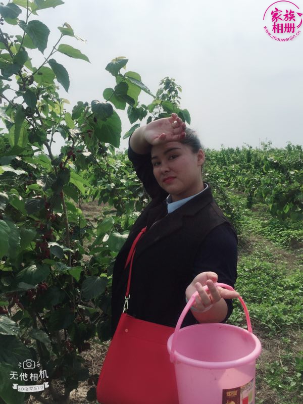 蓝婷婷2018年-第7页